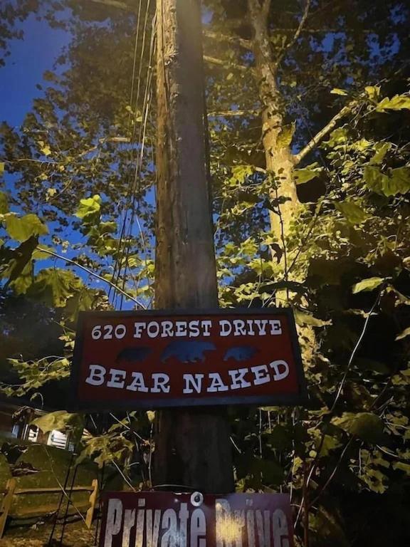 Bear Nakid