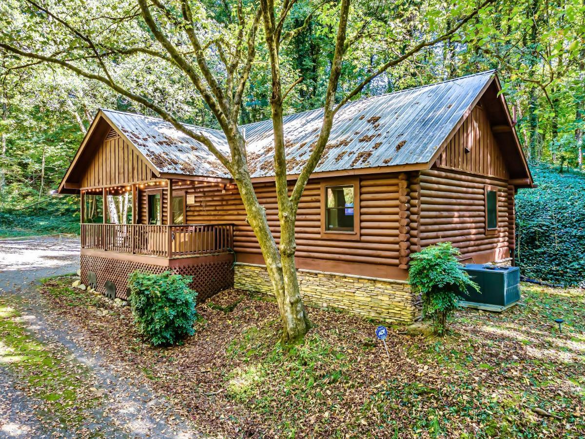 Bear Nakid Holiday home *
